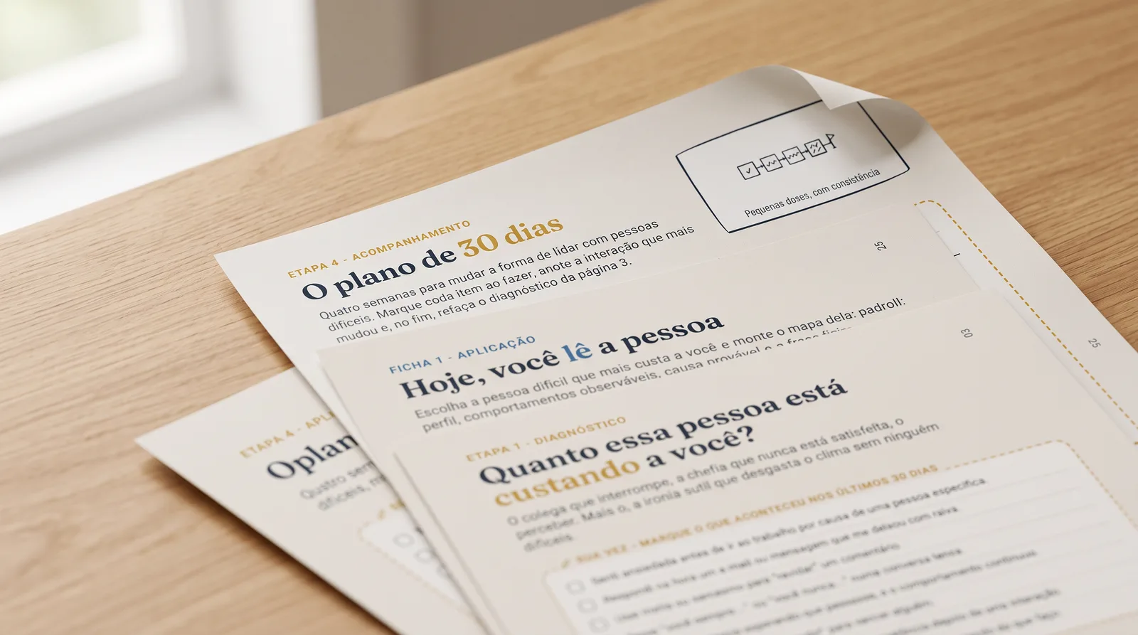 Fichas do Manual de Aplicação impressas e sobrepostas: diagnóstico, ficha de aplicação e plano